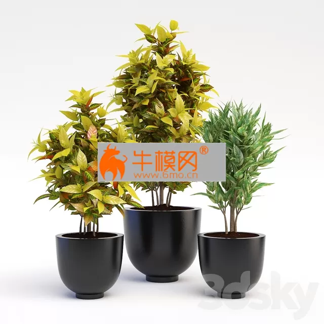 3DSKY FREE � FREE 3DS MAX MODELS