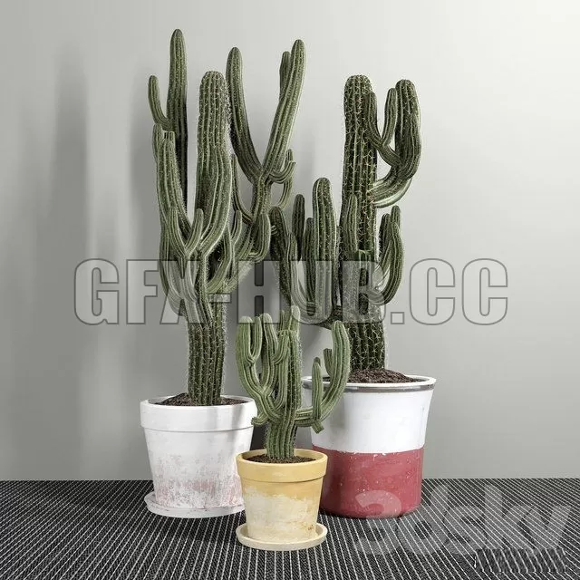 3D MODELS FREE DOWNLOAD 