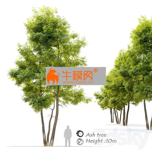 3DSKY FREE � FREE 3DS MAX MODELS