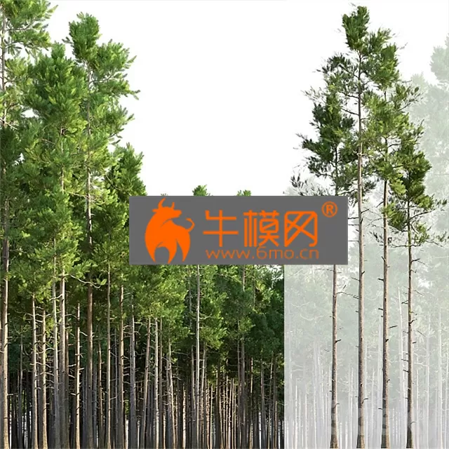 3DSKY FREE � FREE 3DS MAX MODELS