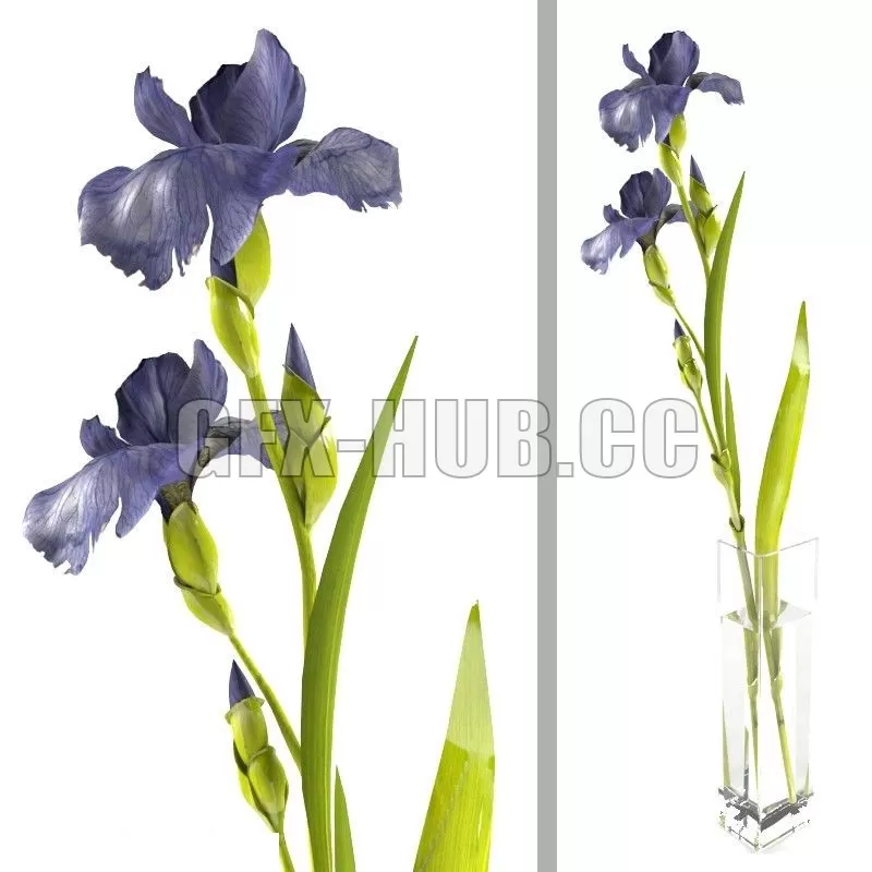 3D MODELS FREE DOWNLOAD 