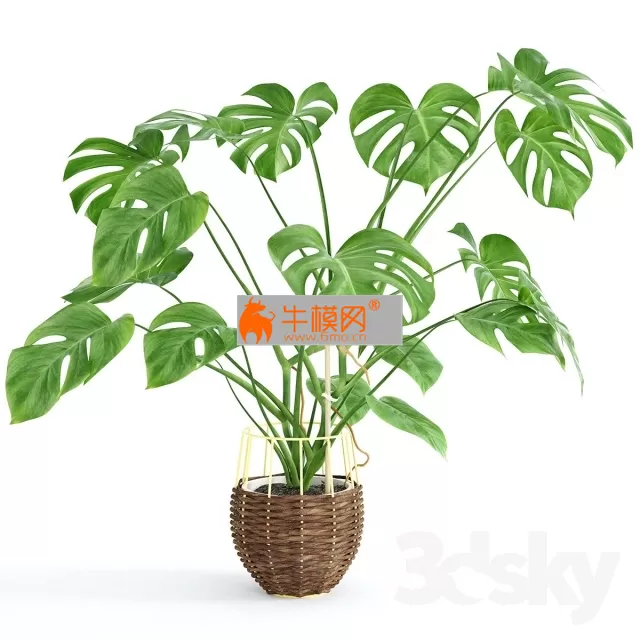 3DSKY FREE � FREE 3DS MAX MODELS