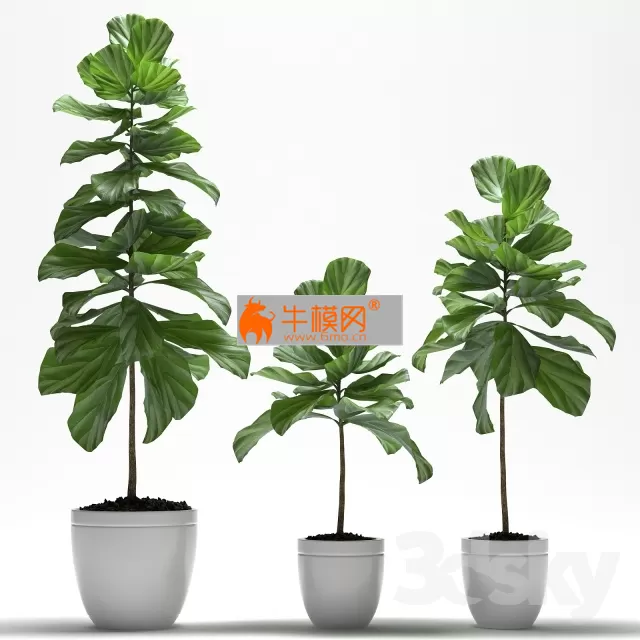 3DSKY FREE � FREE 3DS MAX MODELS