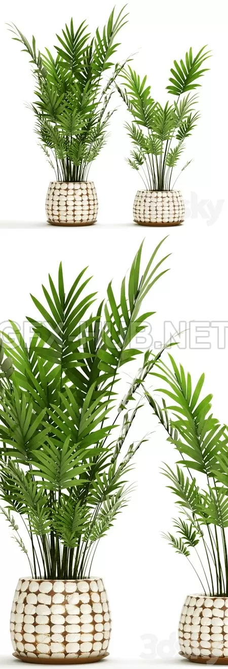 3DSKY FREE � FREE 3DS MAX MODELS