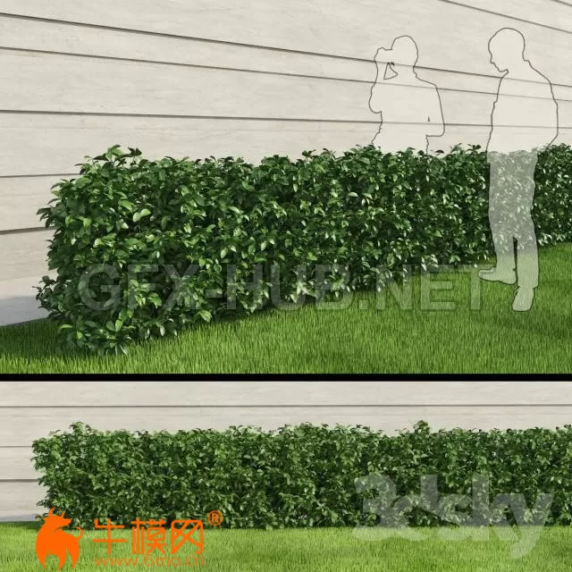 3D MODELS FREE DOWNLOAD 