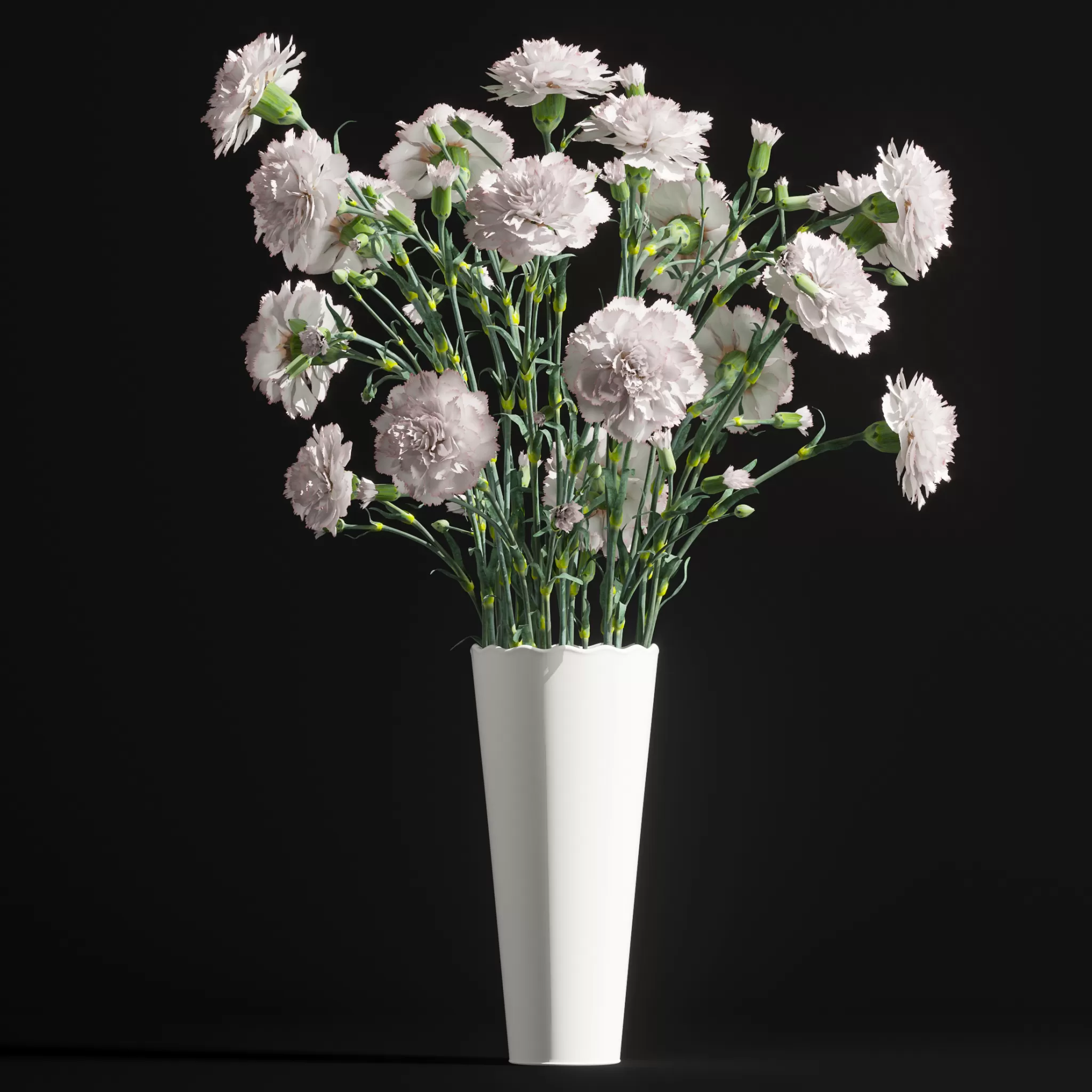 Carnation 2 – 1333
