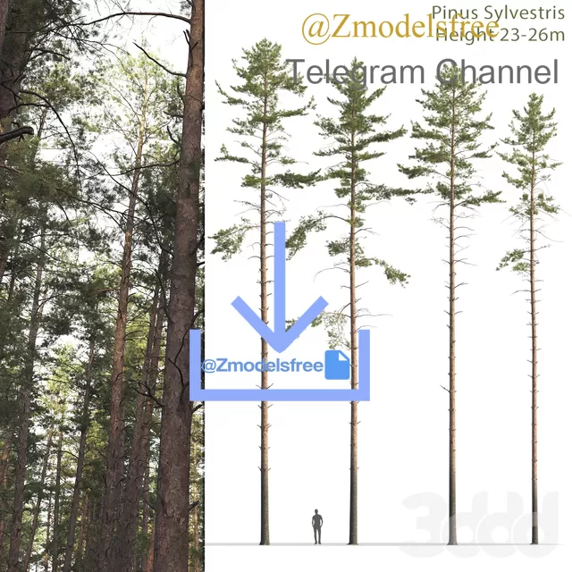 3DSKY FREE � FREE 3DS MAX MODELS