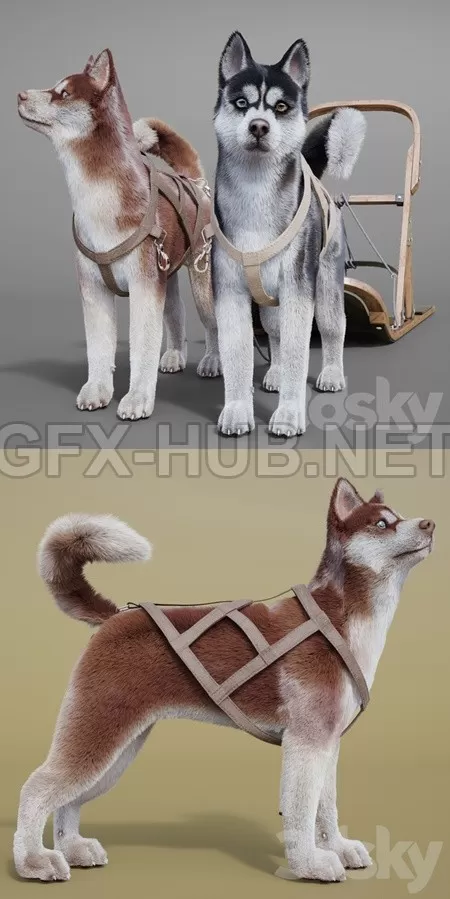 3DSKY FREE � FREE 3DS MAX MODELS