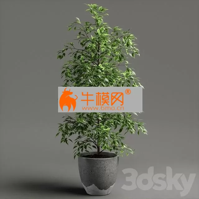 3DSKY FREE � FREE 3DS MAX MODELS