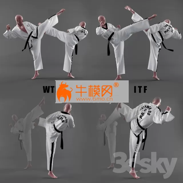 Form of taekwondo – 1808