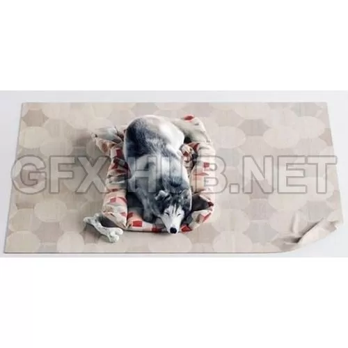 3DSKY FREE � FREE 3DS MAX MODELS