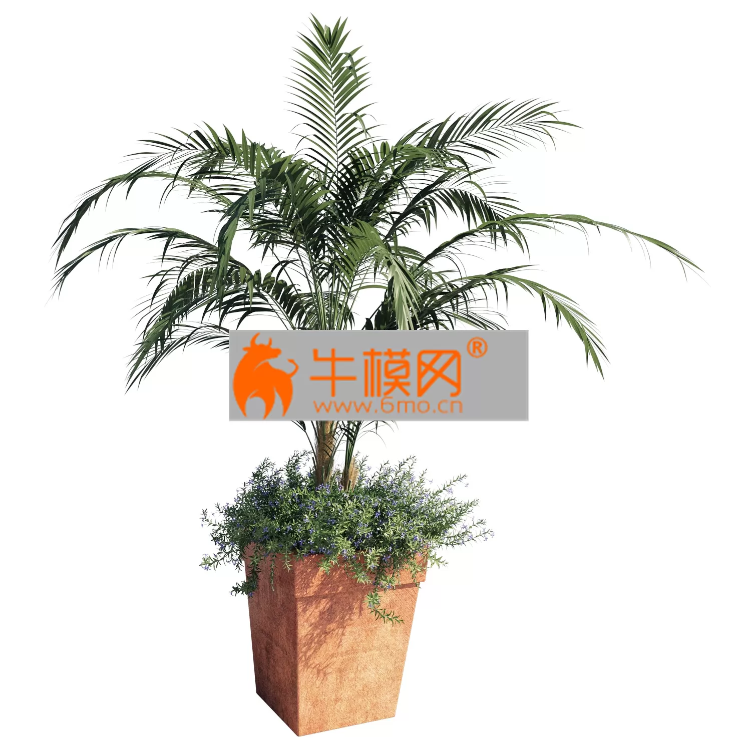 3D MODELS FREE DOWNLOAD 