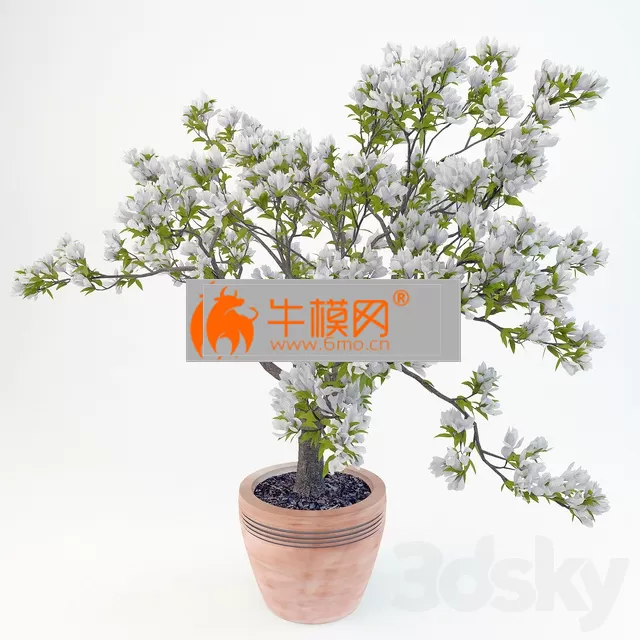 3DSKY FREE � FREE 3DS MAX MODELS