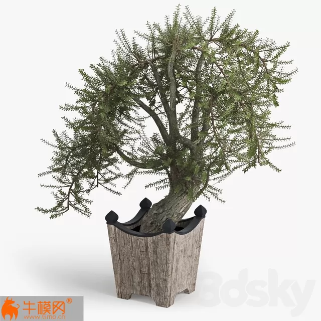 3DSKY FREE � FREE 3DS MAX MODELS