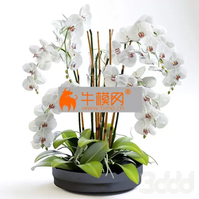 3DSKY FREE � FREE 3DS MAX MODELS