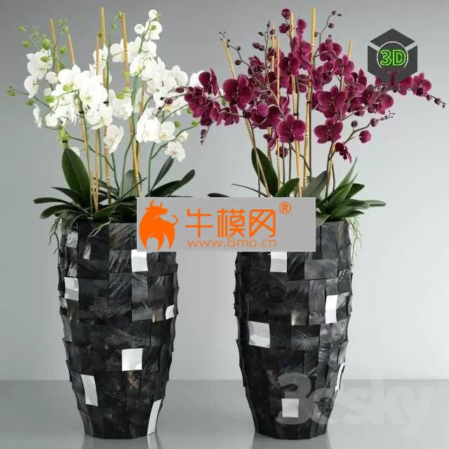 3DSKY FREE � FREE 3DS MAX MODELS