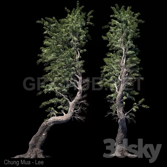 3DSKY FREE � FREE 3DS MAX MODELS