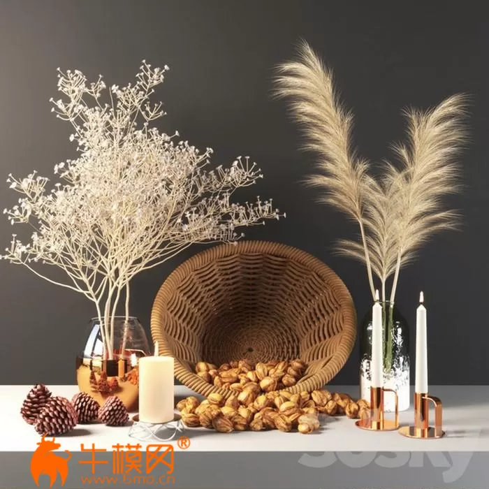 Set 355 Walnut (2011 Vray) – 2770