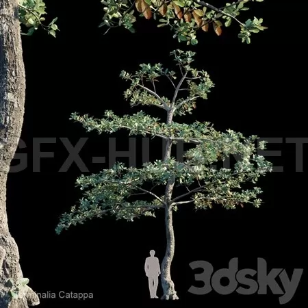 3D MODELS FREE DOWNLOAD 