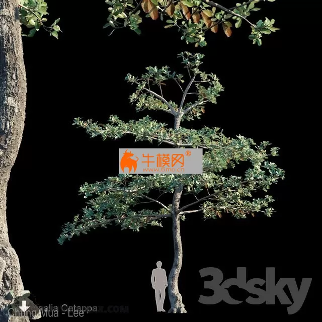 3DSKY FREE � FREE 3DS MAX MODELS