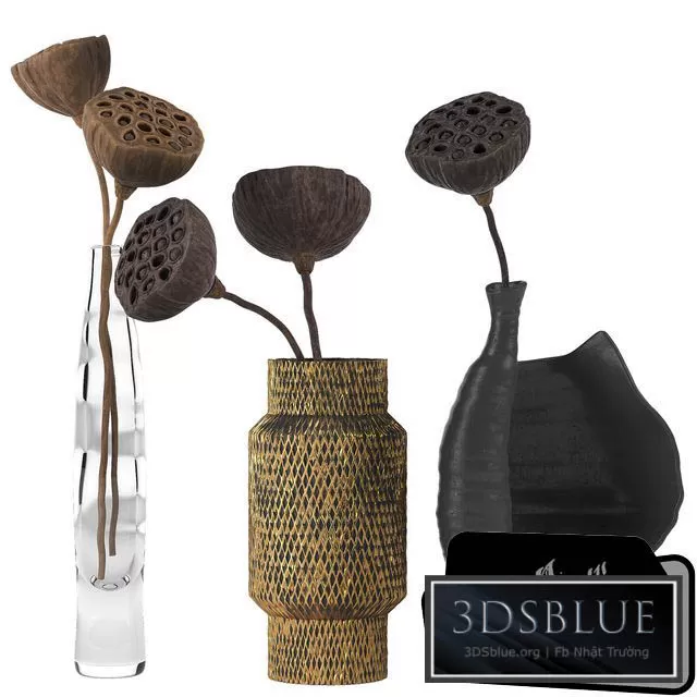 3DSKY FREE � FREE 3DS MAX MODELS