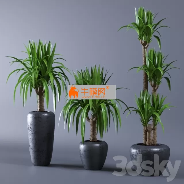 3DSKY FREE � FREE 3DS MAX MODELS