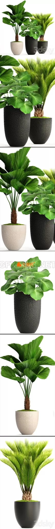 3DSKY FREE � FREE 3DS MAX MODELS