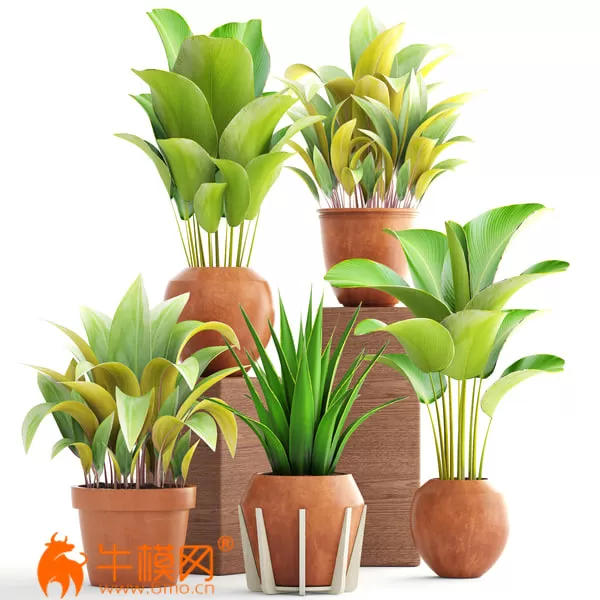 3D MODELS FREE DOWNLOAD 