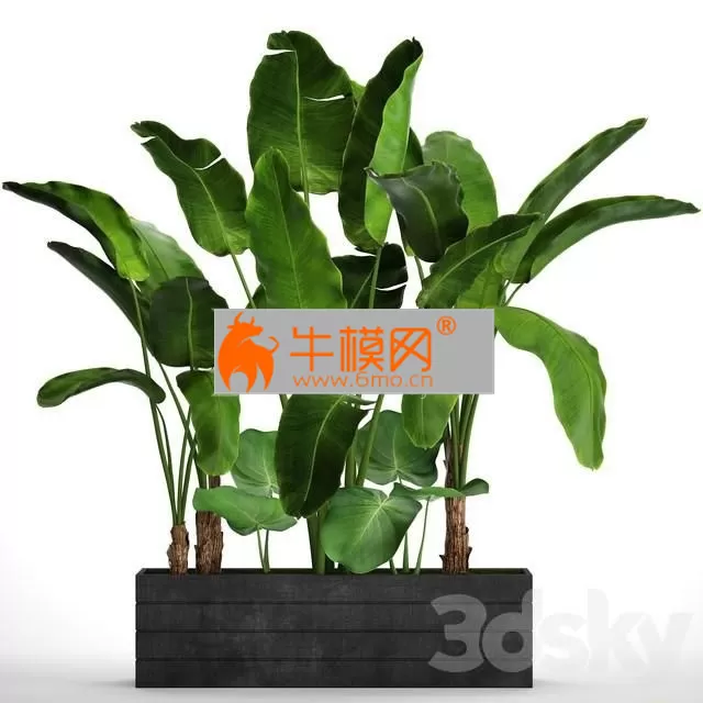 3DSKY FREE � FREE 3DS MAX MODELS