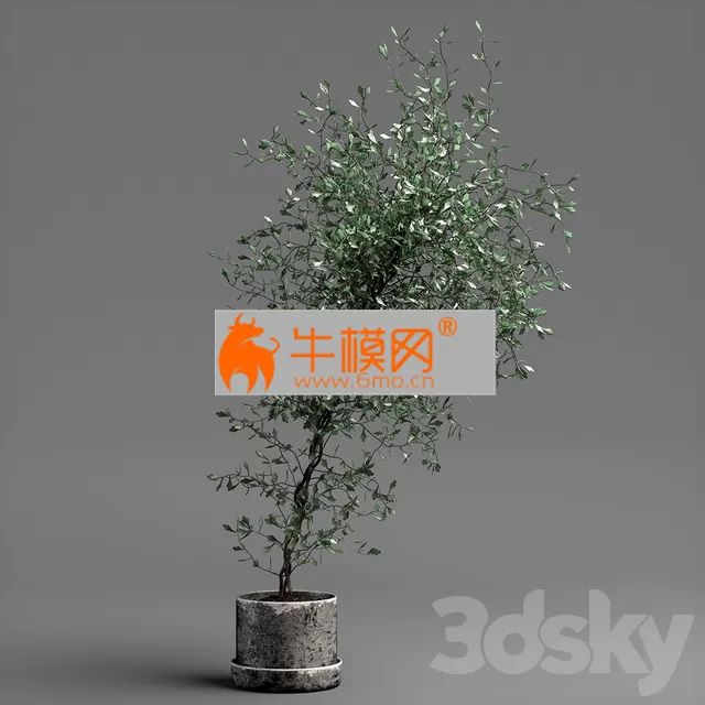 3DSKY FREE � FREE 3DS MAX MODELS