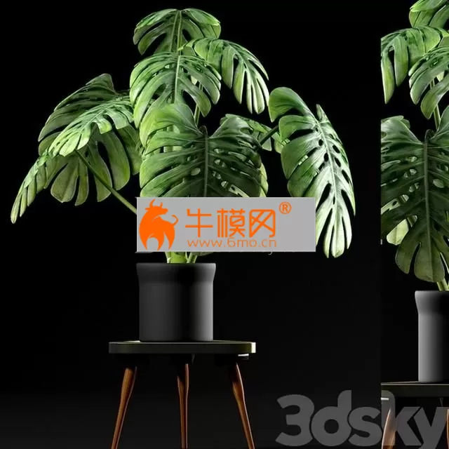 3DSKY FREE � FREE 3DS MAX MODELS