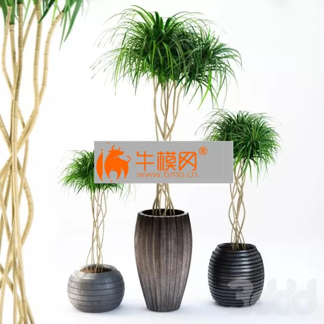 3DSKY FREE � FREE 3DS MAX MODELS