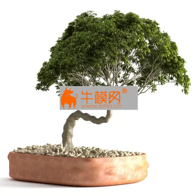 3D MODELS FREE DOWNLOAD 