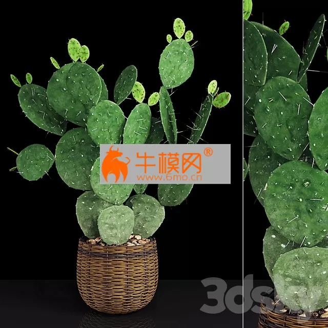 3D MODELS FREE DOWNLOAD 