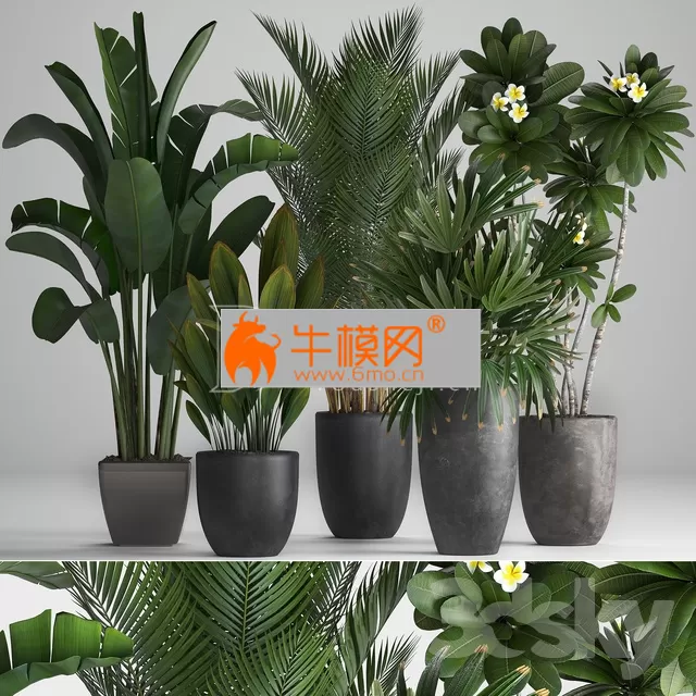 3DSKY FREE � FREE 3DS MAX MODELS