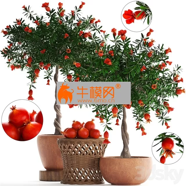 3DSKY FREE � FREE 3DS MAX MODELS