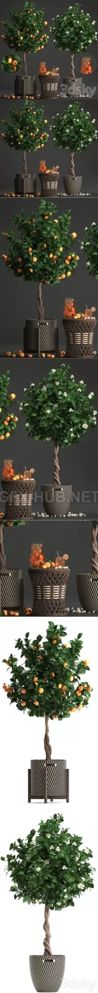 3DSKY FREE � FREE 3DS MAX MODELS