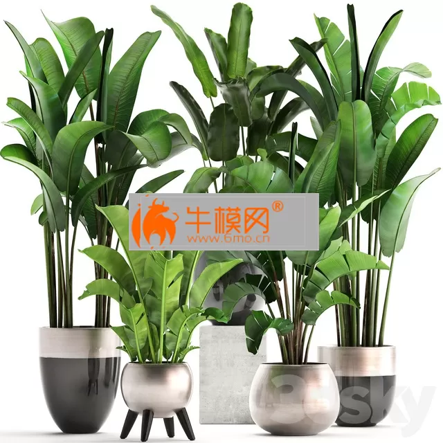 3DSKY FREE � FREE 3DS MAX MODELS