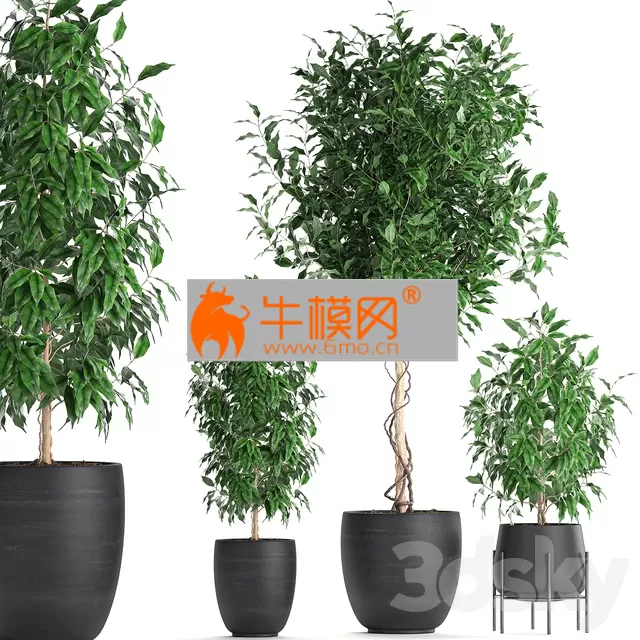 3DSKY FREE � FREE 3DS MAX MODELS