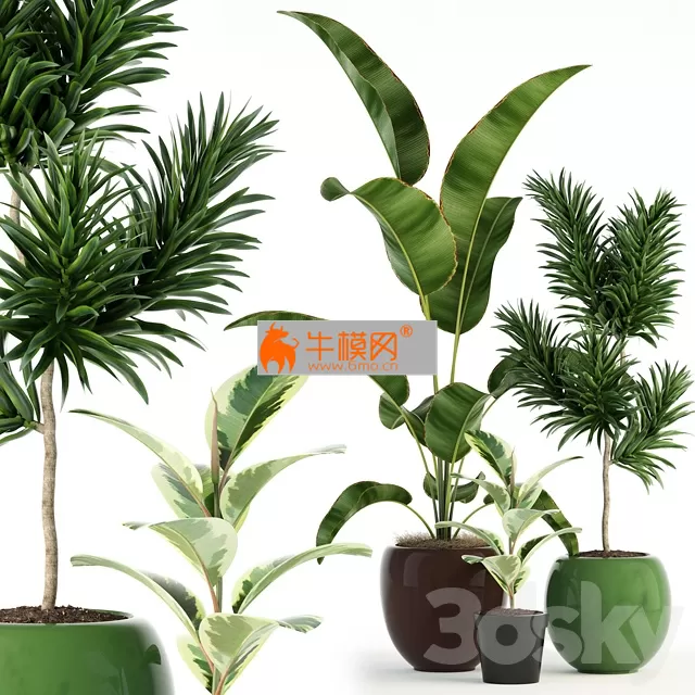 3D MODELS FREE DOWNLOAD 