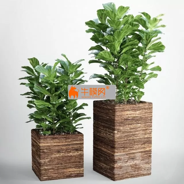 3D MODELS FREE DOWNLOAD 