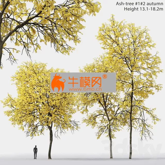 3DSKY FREE � FREE 3DS MAX MODELS