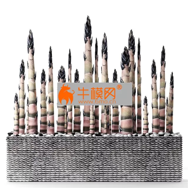 3D MODELS FREE DOWNLOAD 