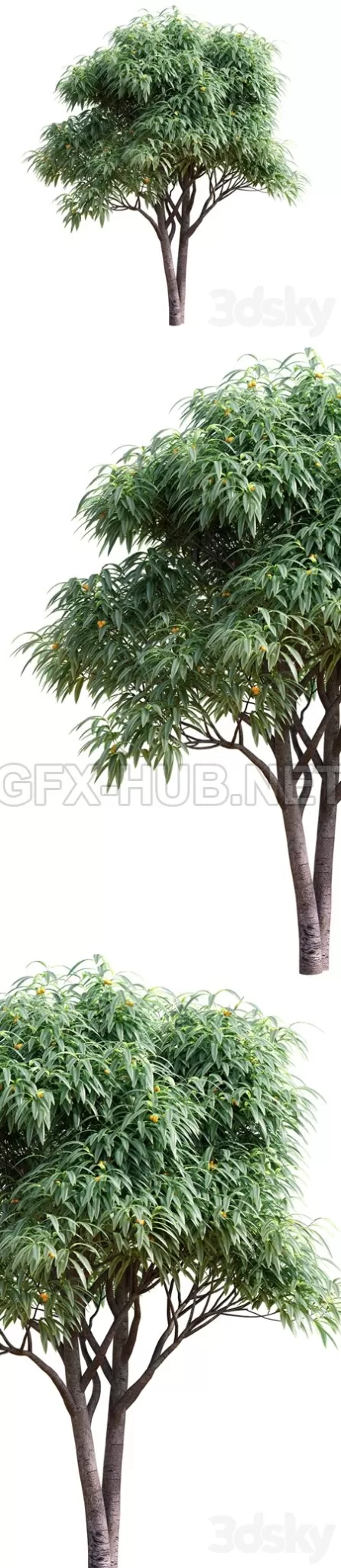 3D MODELS FREE DOWNLOAD 