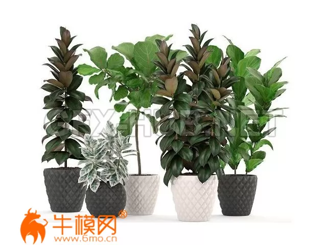 3D MODELS FREE DOWNLOAD 