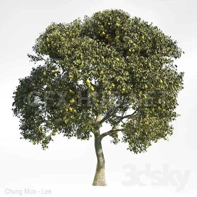3DSKY FREE � FREE 3DS MAX MODELS