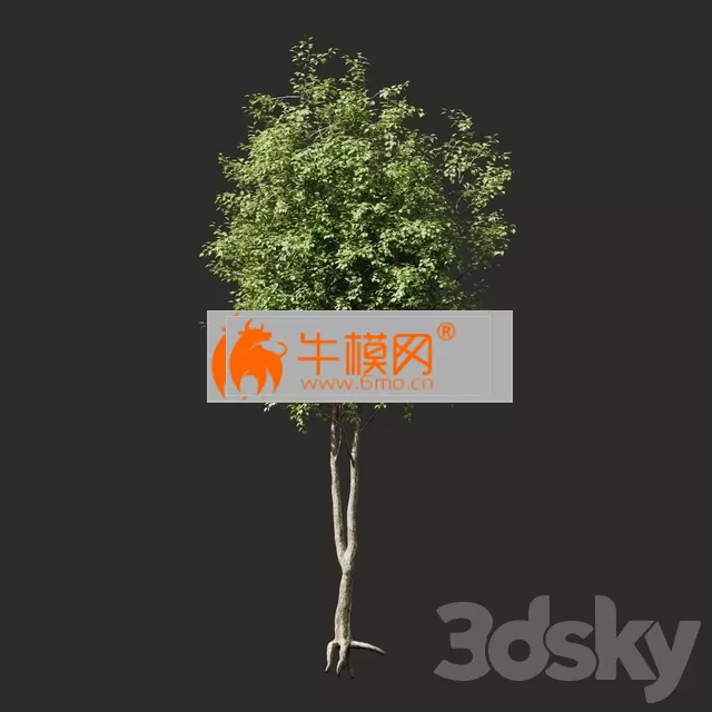 3DSKY FREE � FREE 3DS MAX MODELS