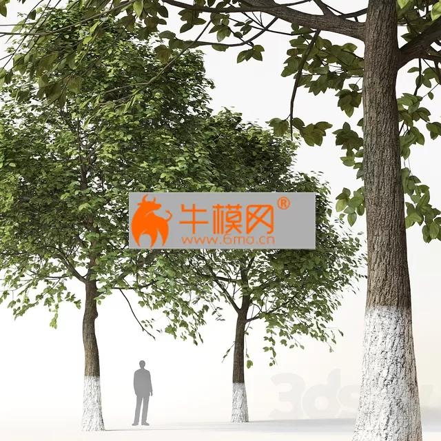 Trees 2 – 6571