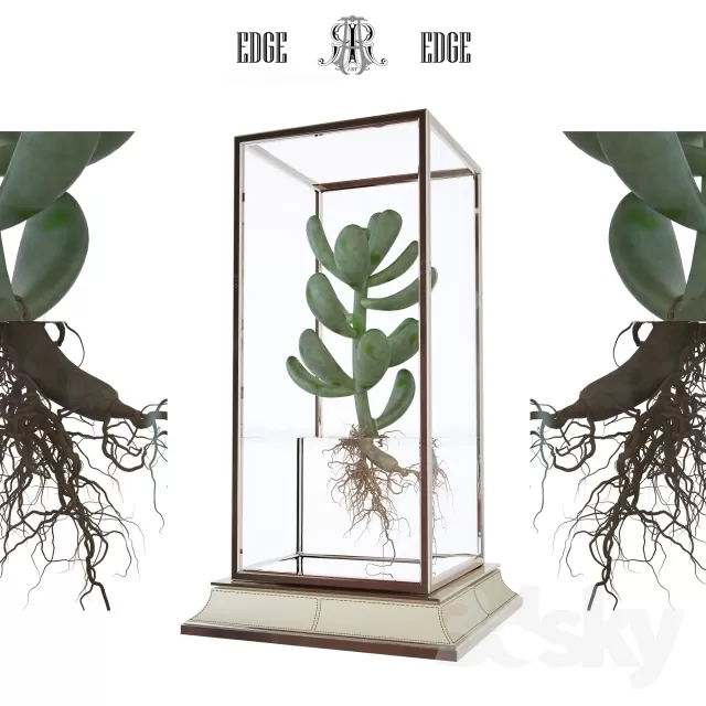 Cactus in a vase on a stand – 6626