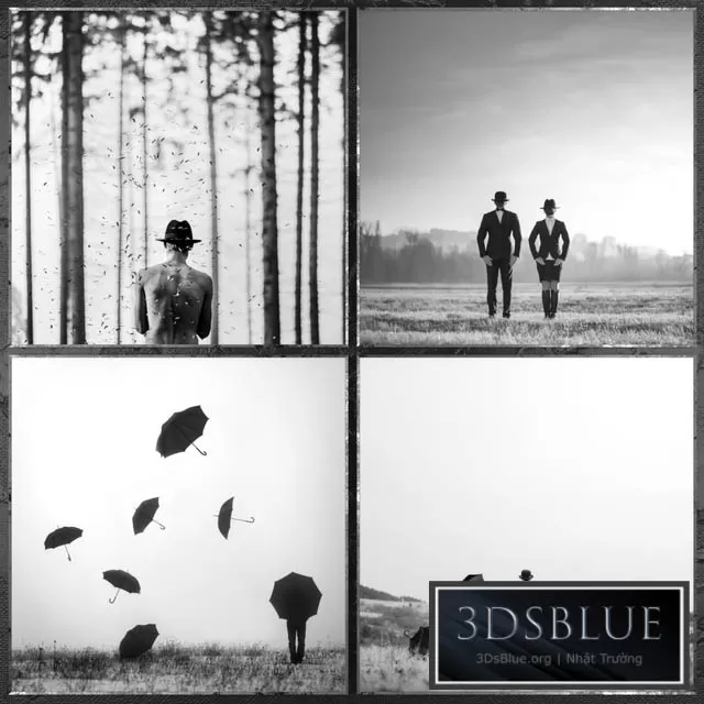 3DSKY FREE � FREE 3DS MAX MODELS